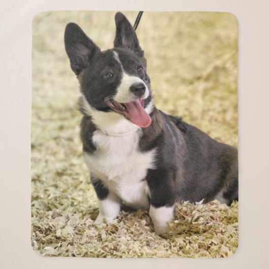 Corgi Sherpa Deken (Voorkant)