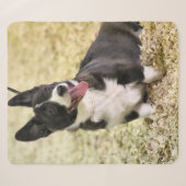 Corgi Sherpa Deken (Voorkant (horizontaal))