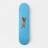 corgi skateboard (Voorkant)