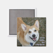 Corgi Smiles zijn besmettelijk! Magneet (Voorkant / Achterkant)