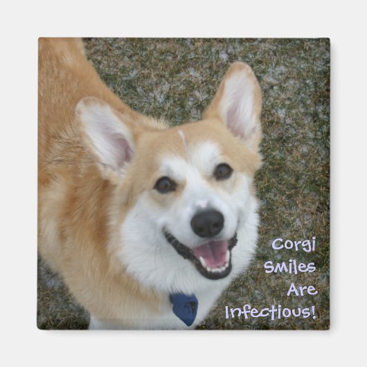Corgi Smiles zijn besmettelijk! Magneet (Voorkant)
