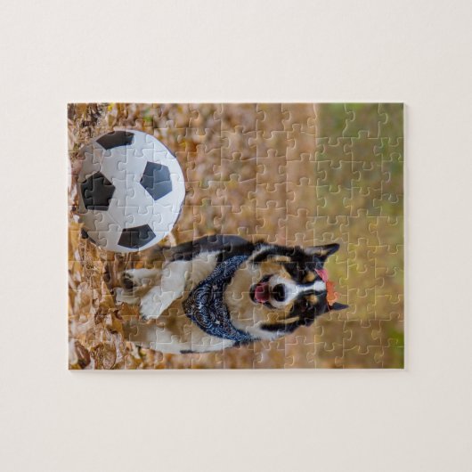 Corgi Spellingvoetbal Legpuzzel (Horizontaal)