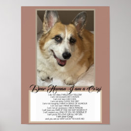 Corgi Spreekt Poster
