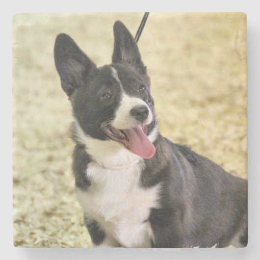 Corgi Stenen Onderzetter (Voorkant)