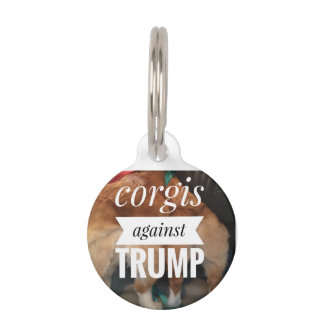 Corgi tegen label bij honden huisdierpenning