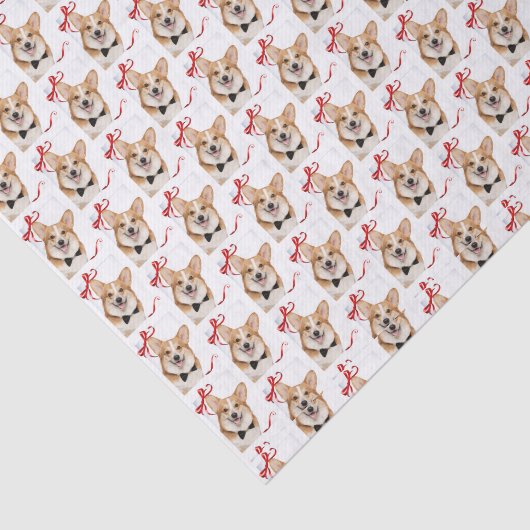 Corgi Tissuepapier (Detail)