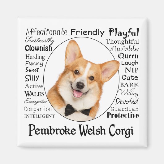 Corgi Traits Magneet (Voorkant)