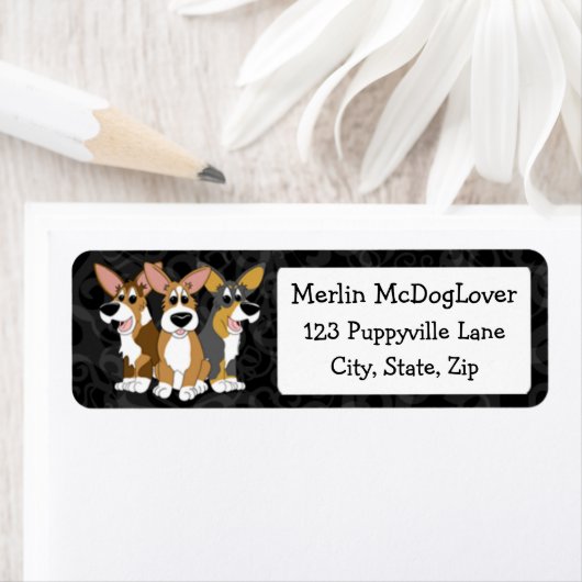 Corgi Trio Etiket (Insitu)