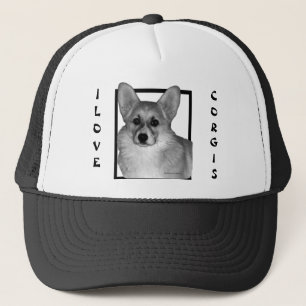 Corgi Trucker had Pet