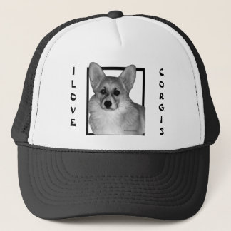 Corgi Trucker had Pet