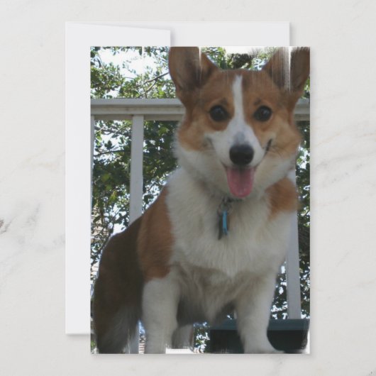 Corgi Uitnodiging (Voorkant)