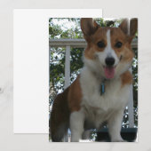 Corgi Uitnodiging (Voorkant / Achterkant)