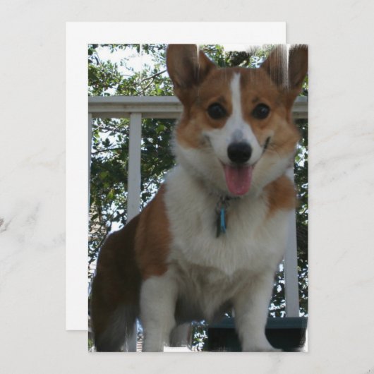 Corgi Uitnodiging (Voorkant / Achterkant)