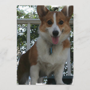 Corgi Uitnodiging