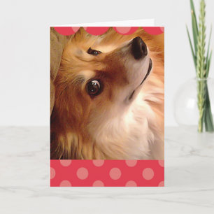 Corgi Valentijn met roze en rode grens Feestdagen Kaart