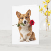 Corgi Valentine – Grote Liefde met Korte Poten Kaart (Gele Bloem)
