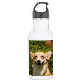 CORGi Waterfles (Voorkant)