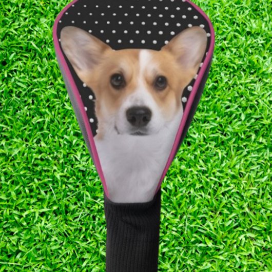 Corgi white dots golfheadcover