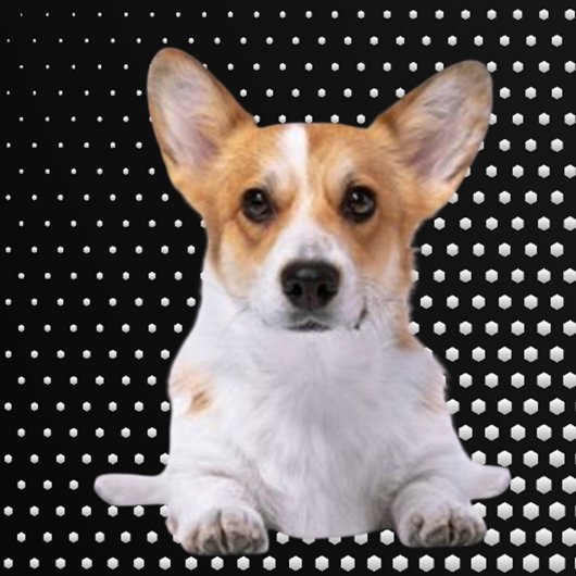 Corgi white dots golfheadcover