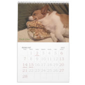 Corgi Wisdom Calendar Kalender (Feb 2027)