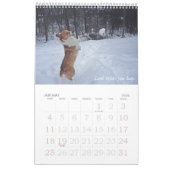 Corgi Wisdom Calendar Kalender (Jan 2026)