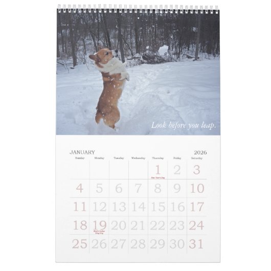 Corgi Wisdom Calendar Kalender (Jan 2026)