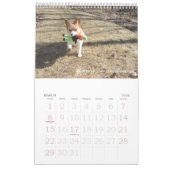 Corgi Wisdom Calendar Kalender (Mar 2026)