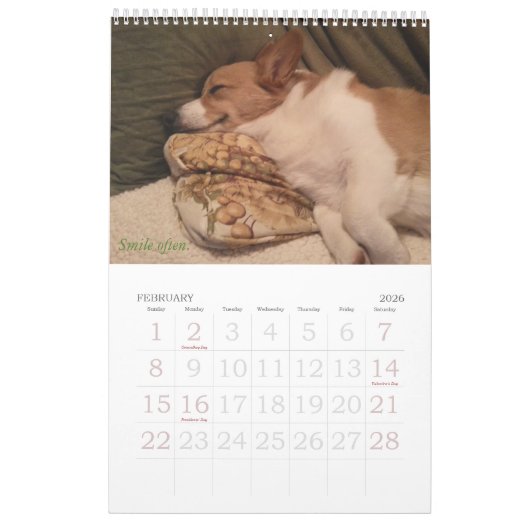 Corgi Wisdom Calendar Kalender (Feb 2026)