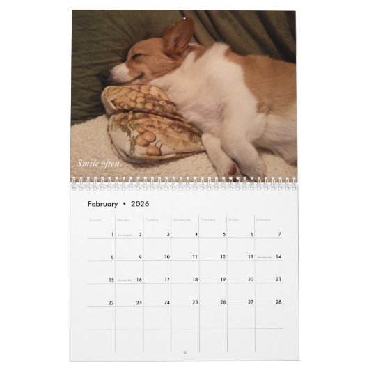 Corgi Wisdom Calendar Kalender (Feb 2026)
