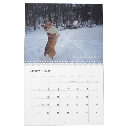 Corgi Wisdom Calendar Kalender (Jan 2026)