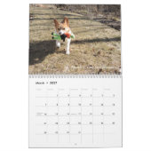 Corgi Wisdom Calendar Kalender (Mar 2027)