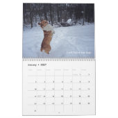 Corgi Wisdom Calendar Kalender (Jan 2027)