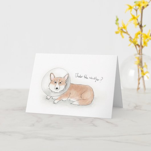 Corgi wordt goed spoedig kaart (Gele Bloem)