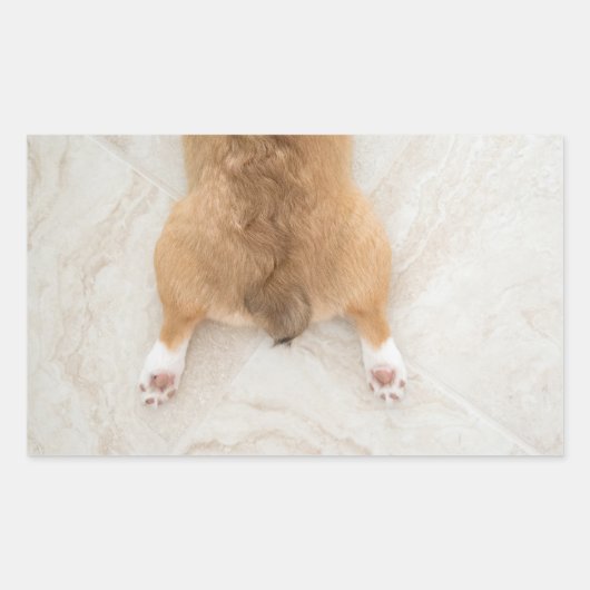 corgibilje rechthoekige sticker (Voorkant)