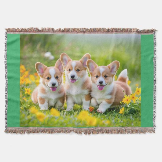 Corgies spelen in het gras deken (Voorkant)