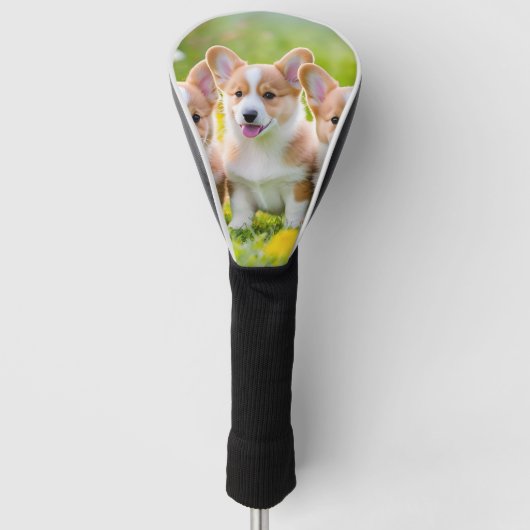 Corgies spelen in het gras golfheadcover (Voorkant)