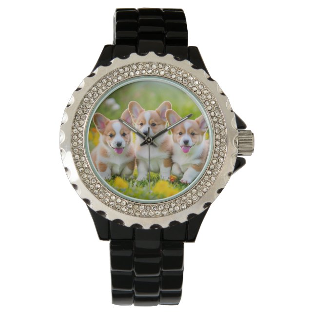 Corgies spelen in het gras horloge (Voorkant)
