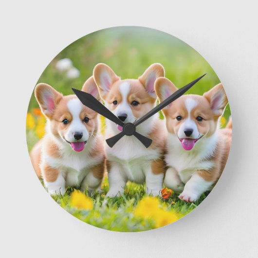 Corgies spelen in het gras ronde klok (Voorkant)