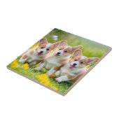 Corgies spelen in het gras tegeltje (Zijkant)