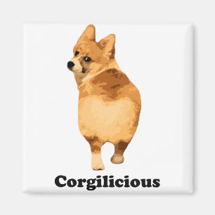 Corgilious Magneet