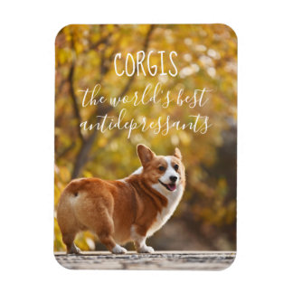 Corgis De beste antidepressiva ter wereld Magneet