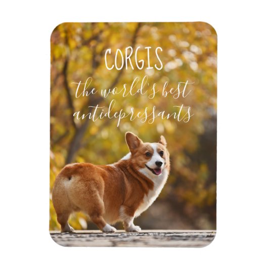 Corgis De beste antidepressiva ter wereld Magneet (Verticaal)
