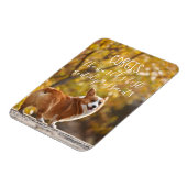 Corgis De beste antidepressiva ter wereld Magneet (Linkerzijde)