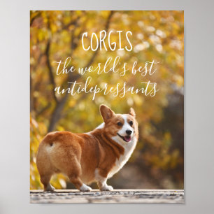 Corgis De beste antidepressiva ter wereld Poster