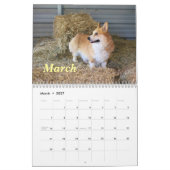 Corgis in 2013 kalender (Mar 2027)