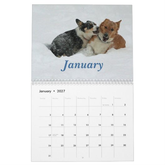 Corgis in 2013 kalender (Jan 2027)