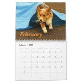 Corgis in 2013 kalender (Feb 2027)