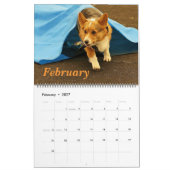 Corgis in 2014 kalender (Feb 2027)