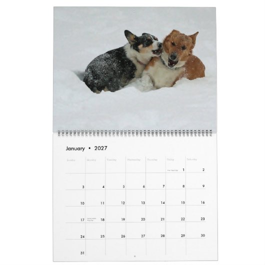 Corgis in 2014 kalender (Jan 2027)