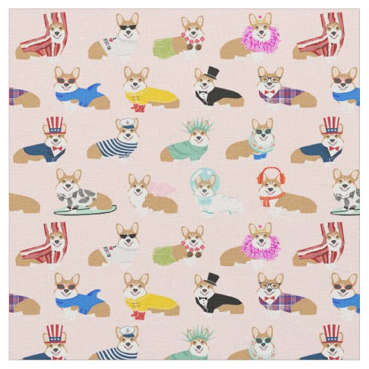 corgis in costumes hondroze stof (Close Up)